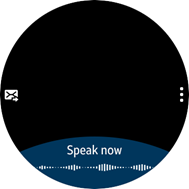 Voice user input