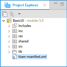 Project Explorer