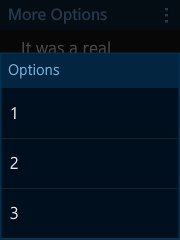 More options component on a rectangular device