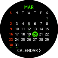 Schedule Monthly widget screen